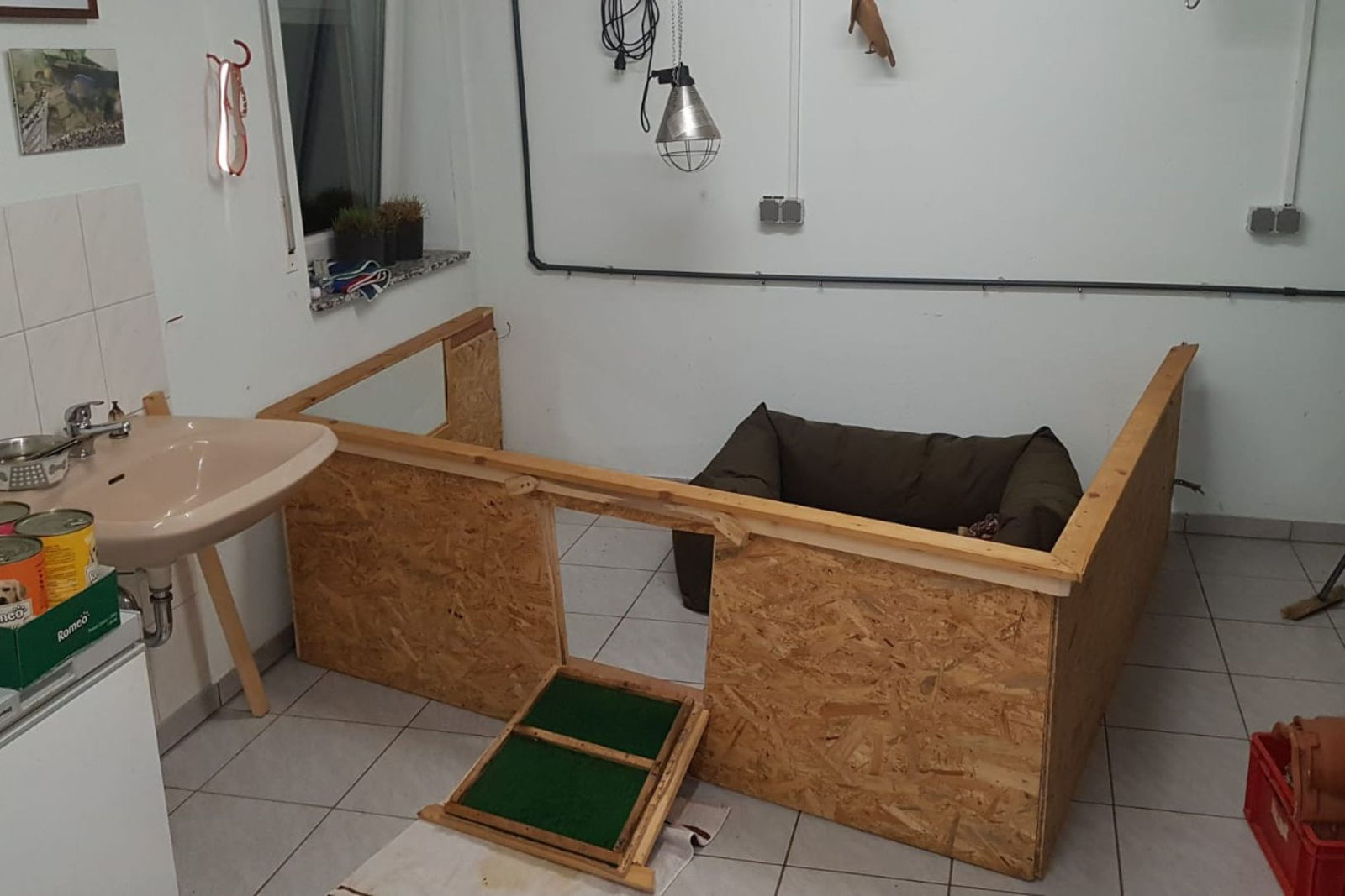 Trächtigkeitstagebuch – Bild 1