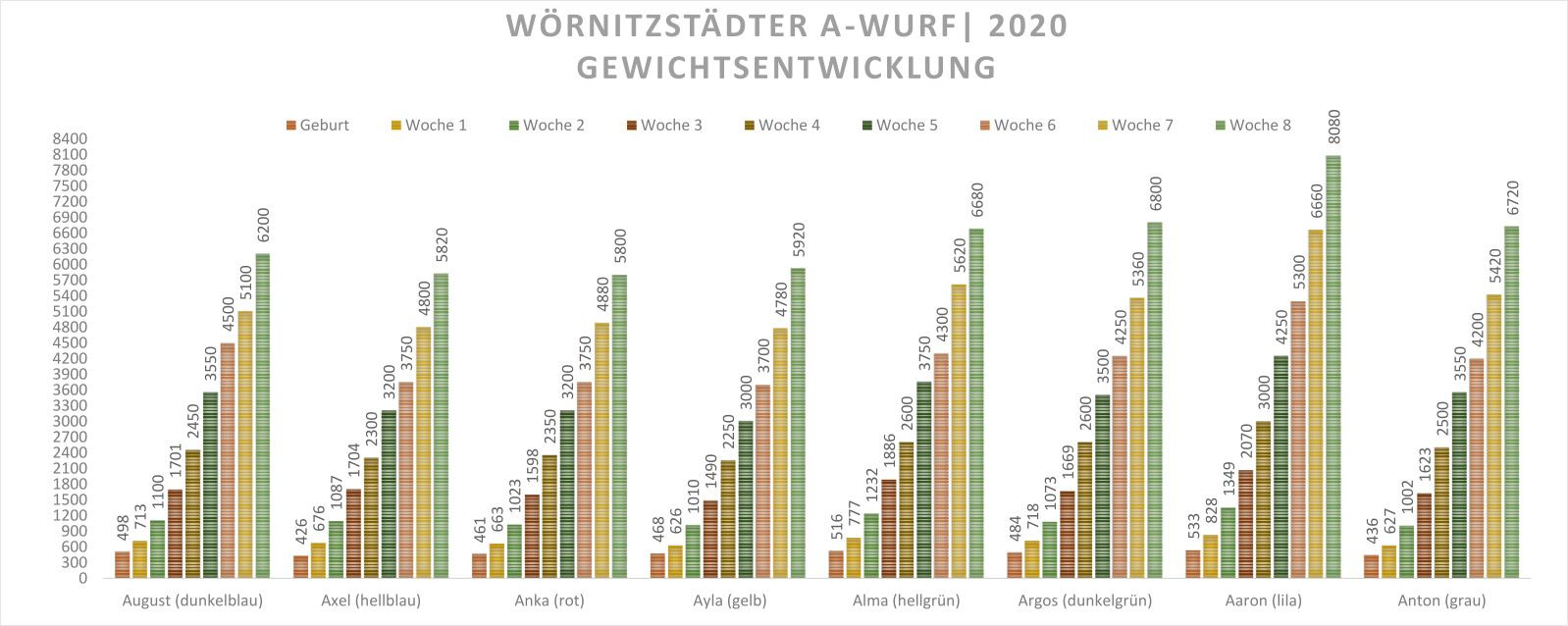 Werdegang – Bild 1