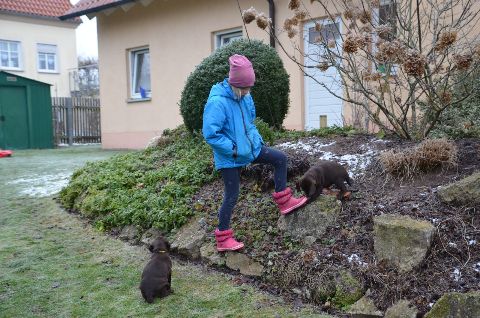 Wurftagebuch – Bild 74