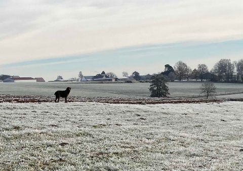 Ausflug ...