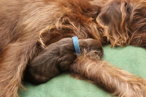 Kuscheln bei Mama