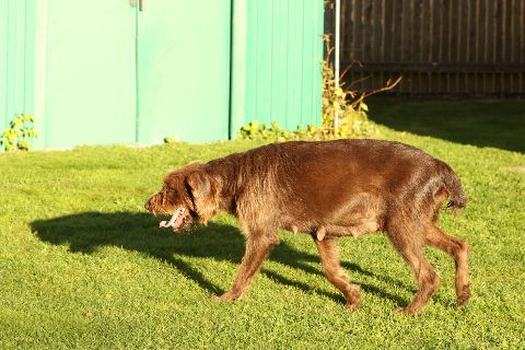 Und noch ne Runde im Garten