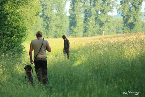 Bilder von Aica 2018 – Bild 61