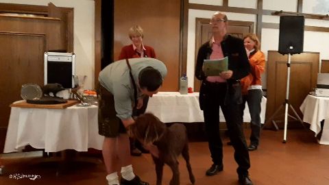 Bilder von Aica 2019 – Bild 36