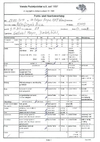 Form-/Haarwert & Röntgen – Bild 1