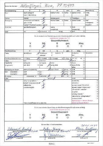 Form-/Haarwert & Röntgen – Bild 2