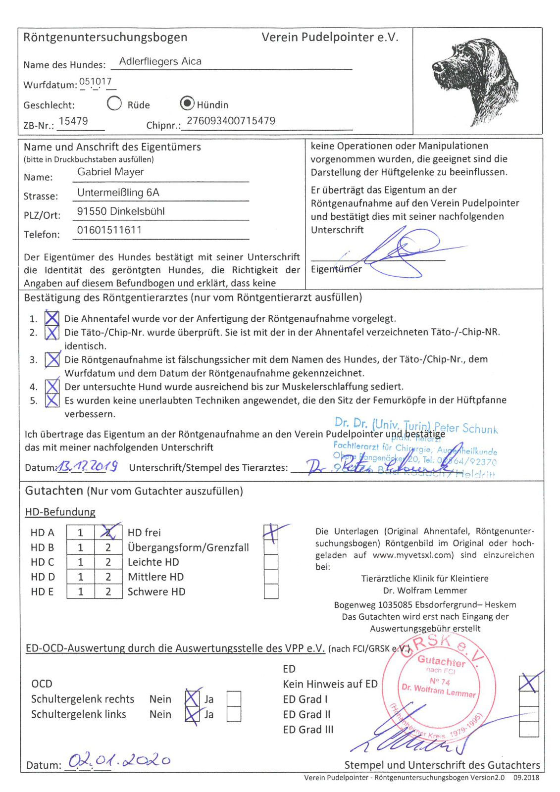 Form-/Haarwert & Röntgen – Bild 1