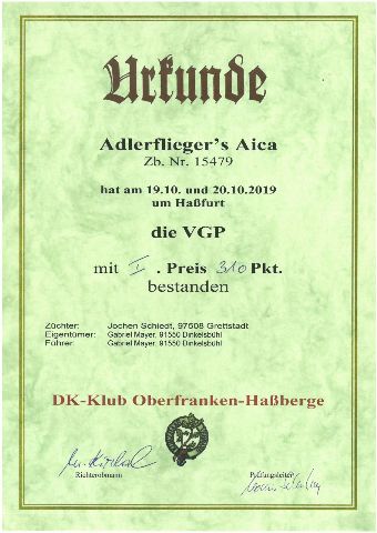 Prüfungen – Bild 1