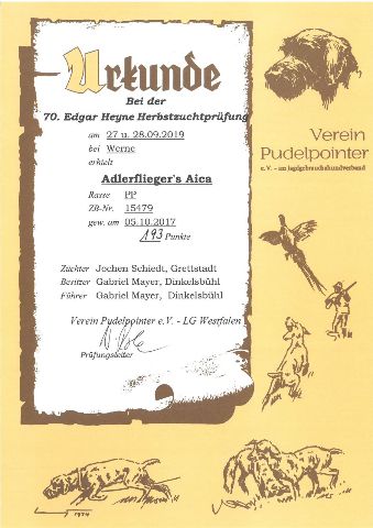 Prüfungen – Bild 1