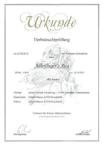 Prüfungen – Bild 1