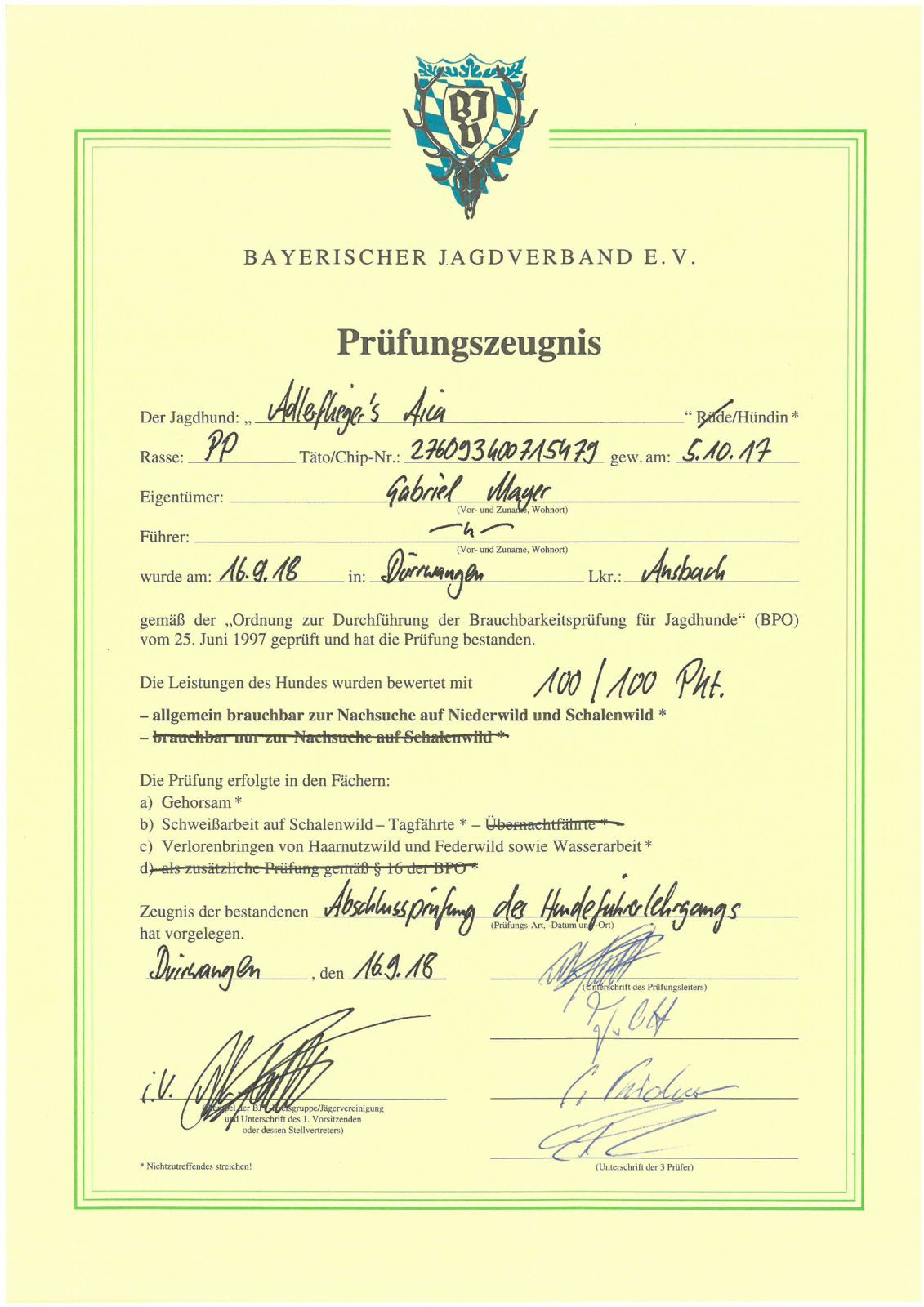 Prüfungen – Bild 1