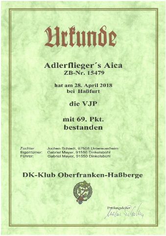 Prüfungen – Bild 1