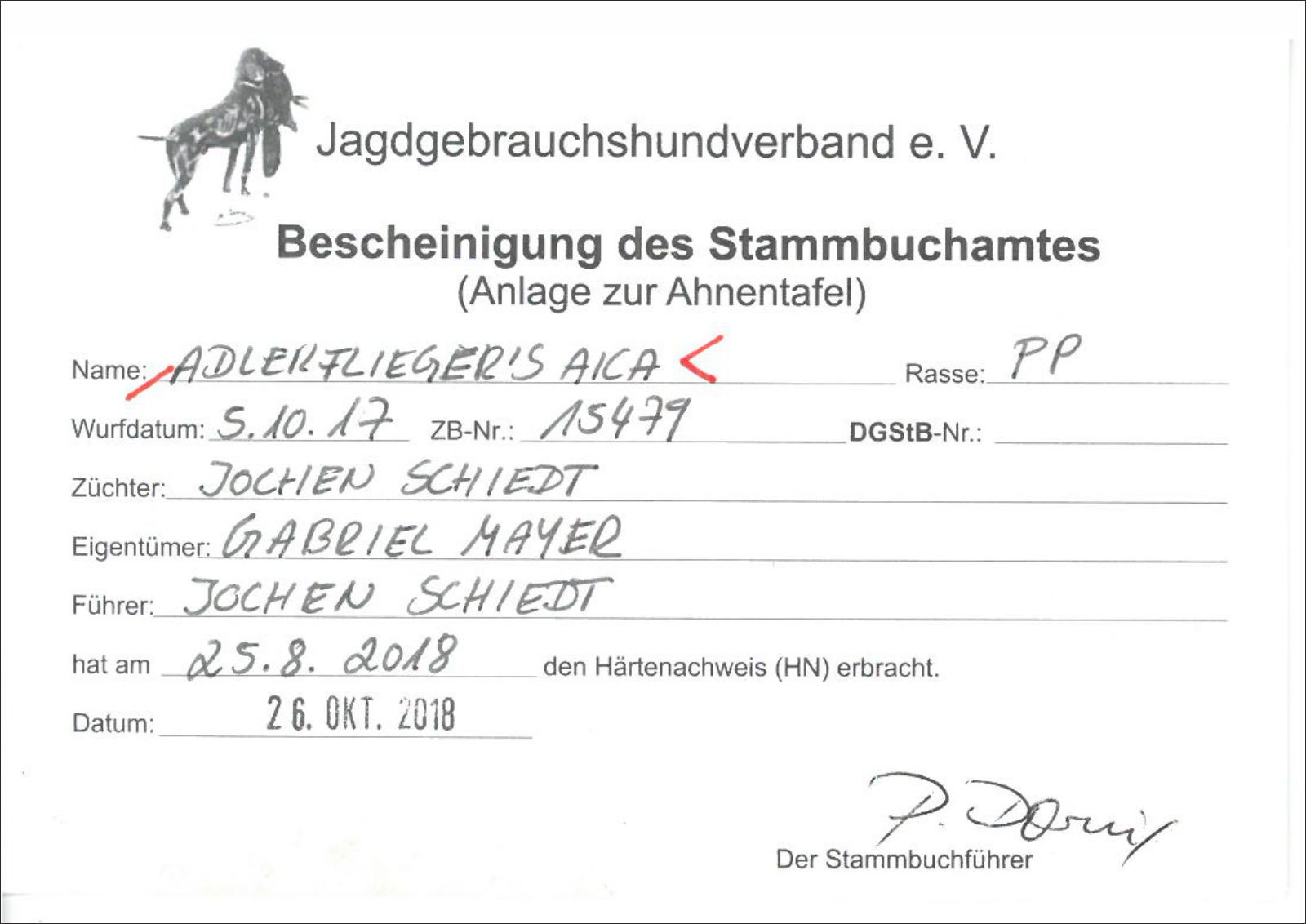 Prüfungen – Bild 1