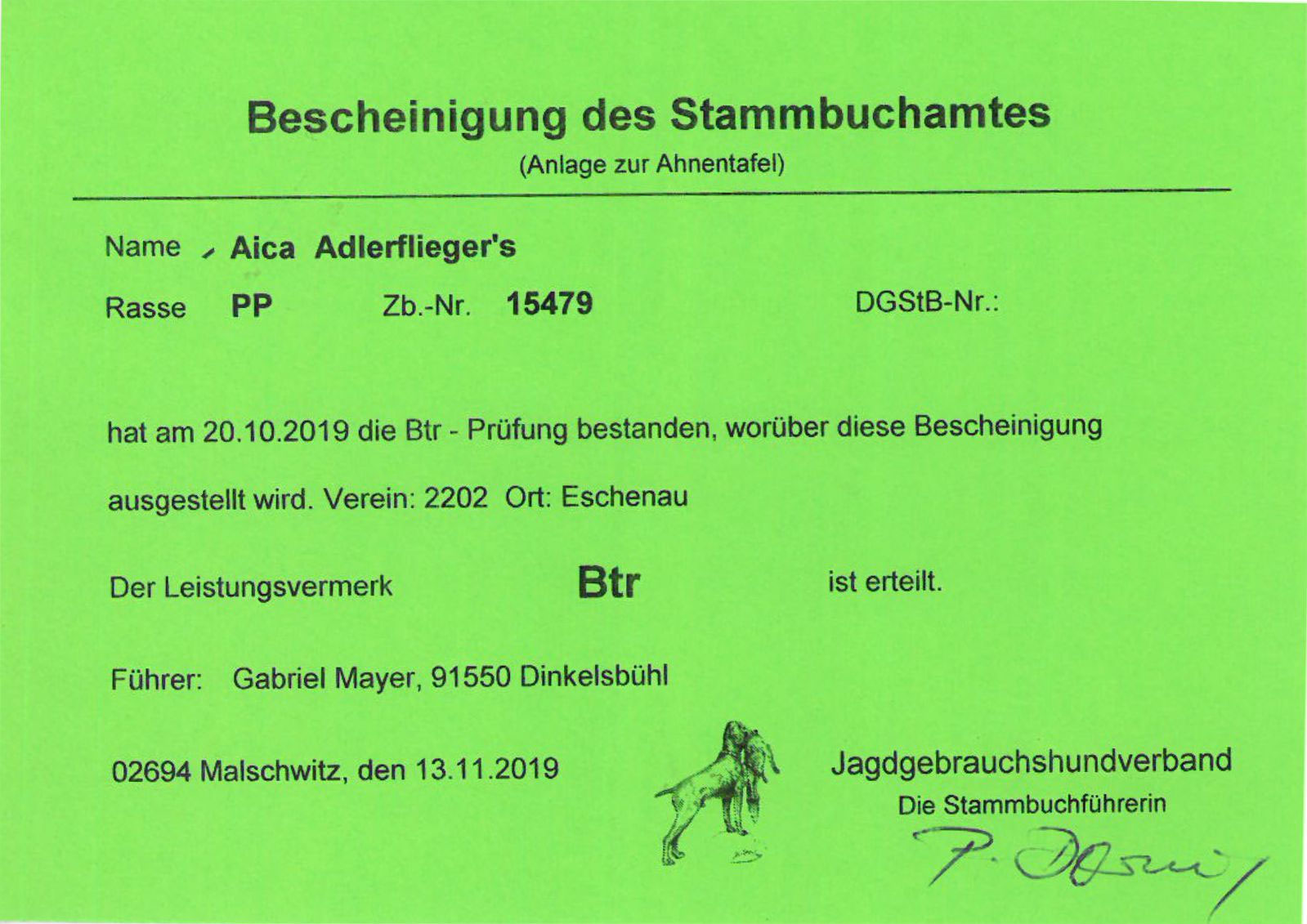 Prüfungen – Bild 1