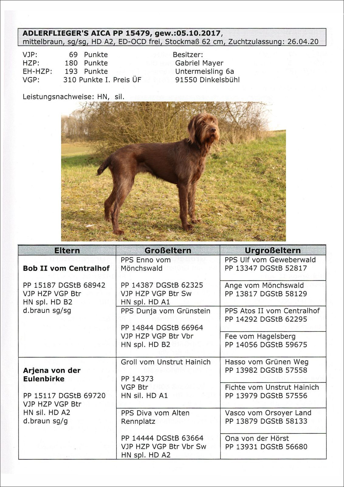 Unsere Zucht – Bild 1