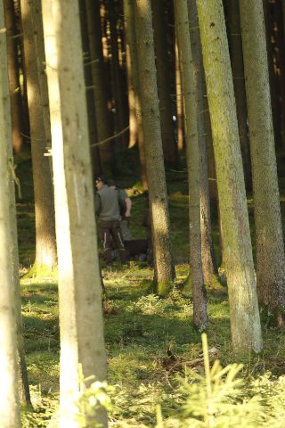 Zwinger – Bild 11