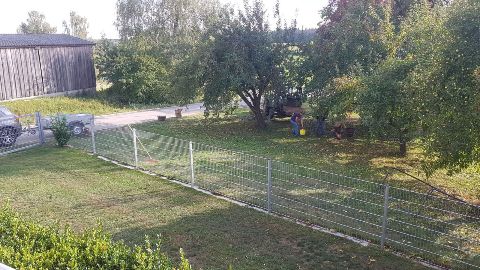 Zwinger – Bild 3