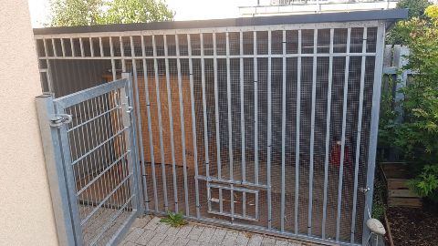 Zwinger – Bild 4